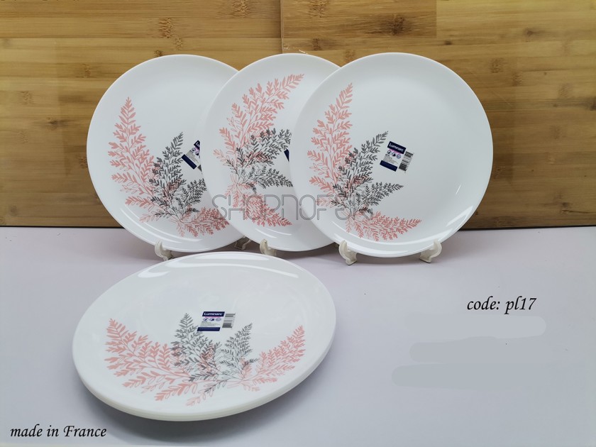 Dinner Plate (PL-17)