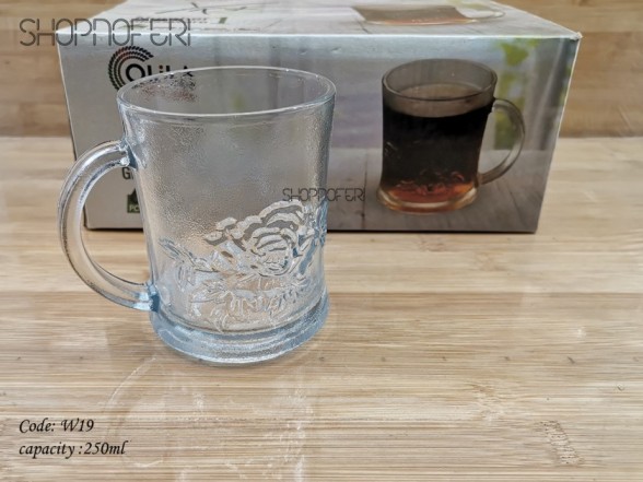 Glass Mug (W-19)